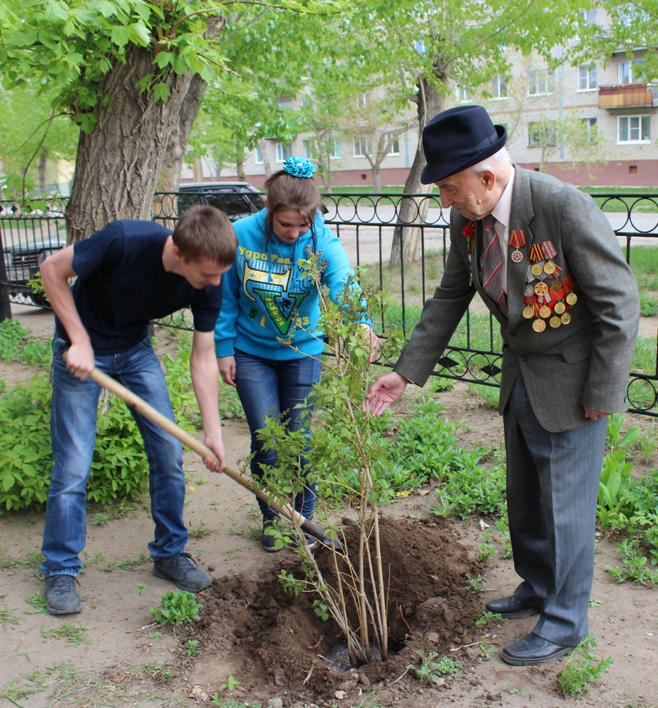 сирень к 9 мая